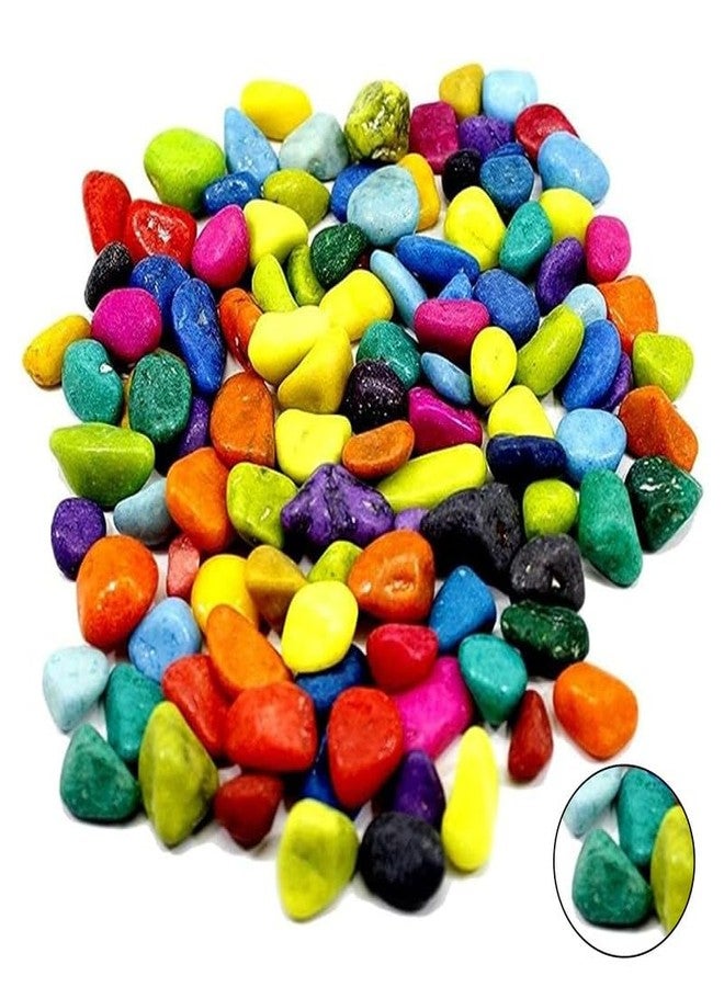 Perfy Multicolor Decorative Stones -1KG Multi-Purpose Pebble Stone for Aquarium, Art & Craft,Vase Fillers, Home Garden - Image 1